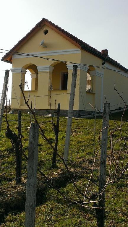 Villa Kellerstoeckl Kamper Eisenberg an der Pinka Exterior foto